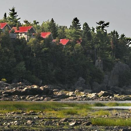 Camping & Chalets De La Demi-Lieue Hotel Saint-Jean-Port-Joli Kültér fotó